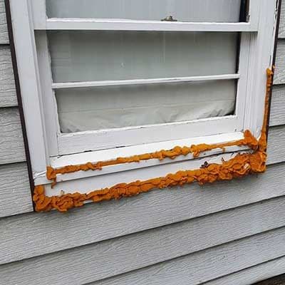 Insulation Everywhere!