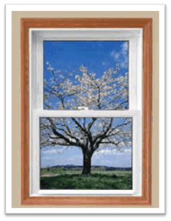 ThermaLast Windows