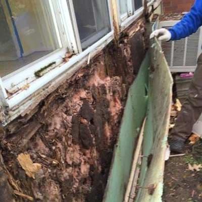 More Water Damage