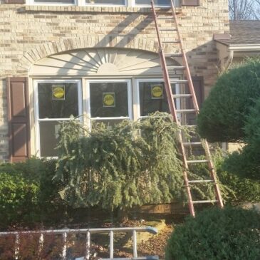 Pella Replacement Window Installation in Staten Island New York