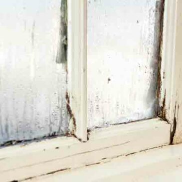When Should You Replace Those Old Windows And What Are The Warning Signs?
