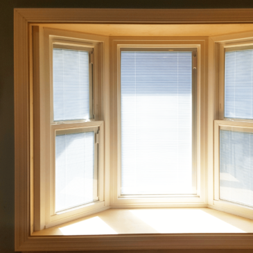 Why You Should Replace Your Old Windows