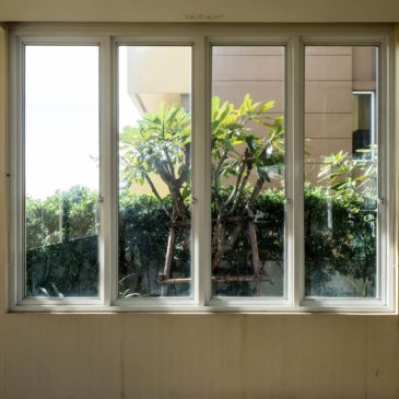 Cheap Window Replacement: How To Choose the Best Windows for Your Budget