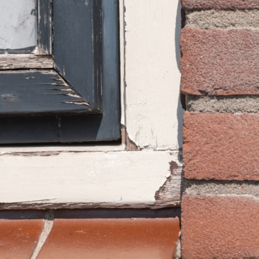 What Causes Rotten Window Frames? Culprits and Solutions